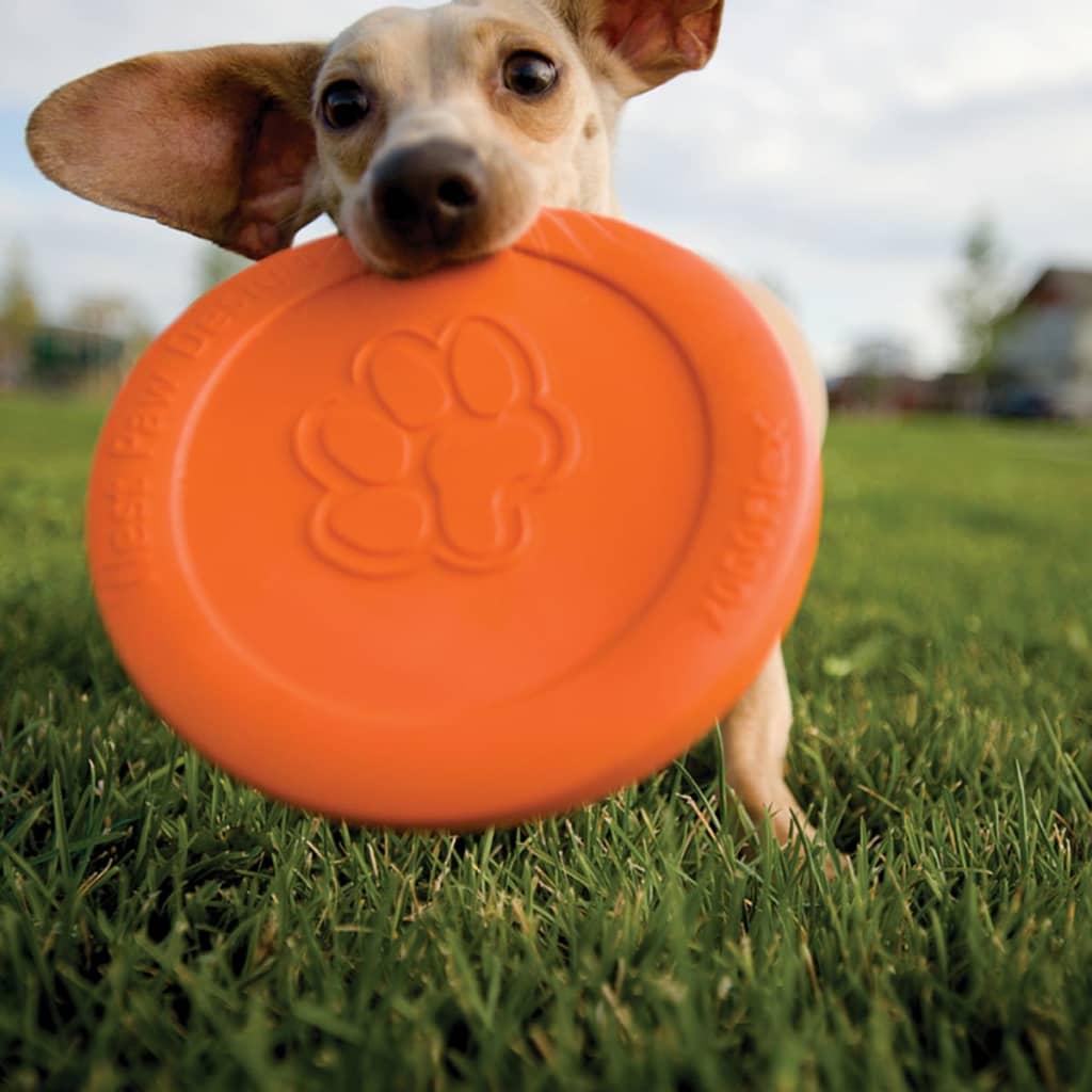 Zogoflex Dog Frisbee Zisc orange taille L 1937