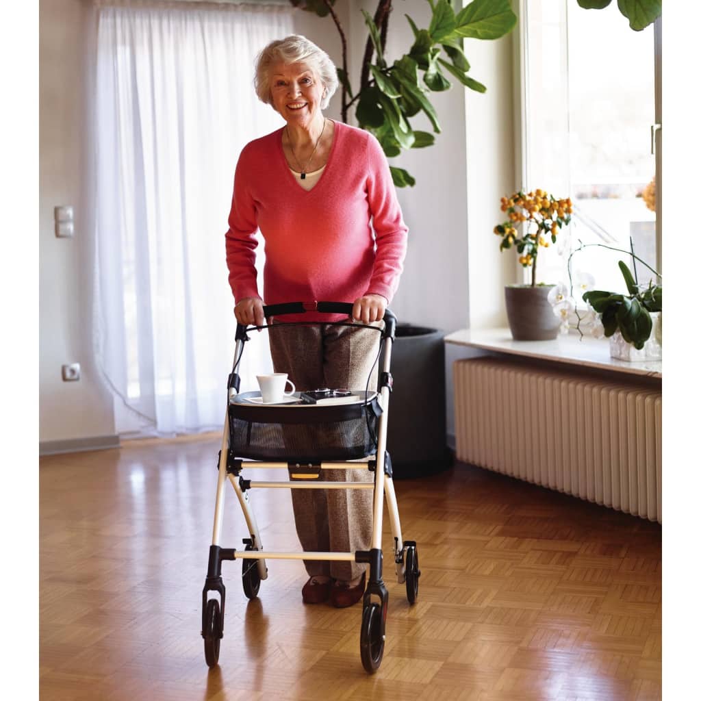 RIDDER Rollator voor binnen Pit