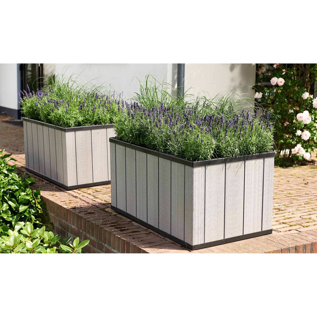 Keter Plantenbak Sequoia medium PP grijs 240929