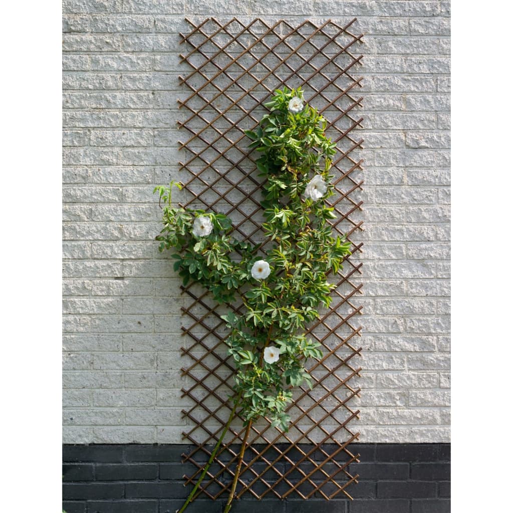 Nature Treillis 60x180 cm saule naturel marron