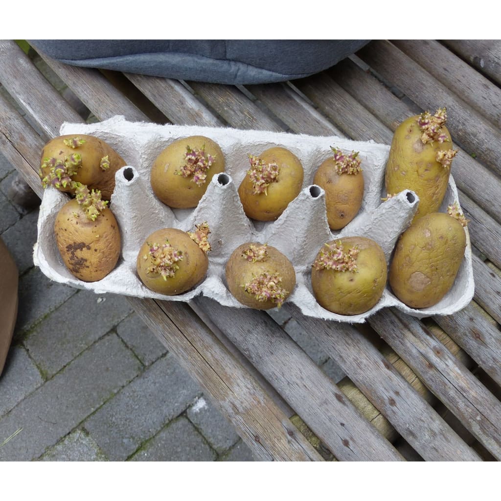 Nature Aardappelkweekzak 37 L antracietkleurig