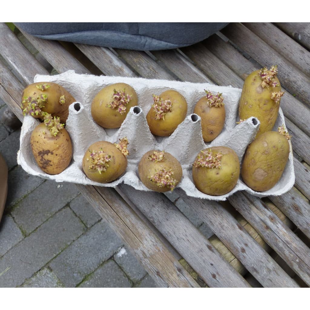 Nature Aardappelkweekzak 37 L antracietkleurig