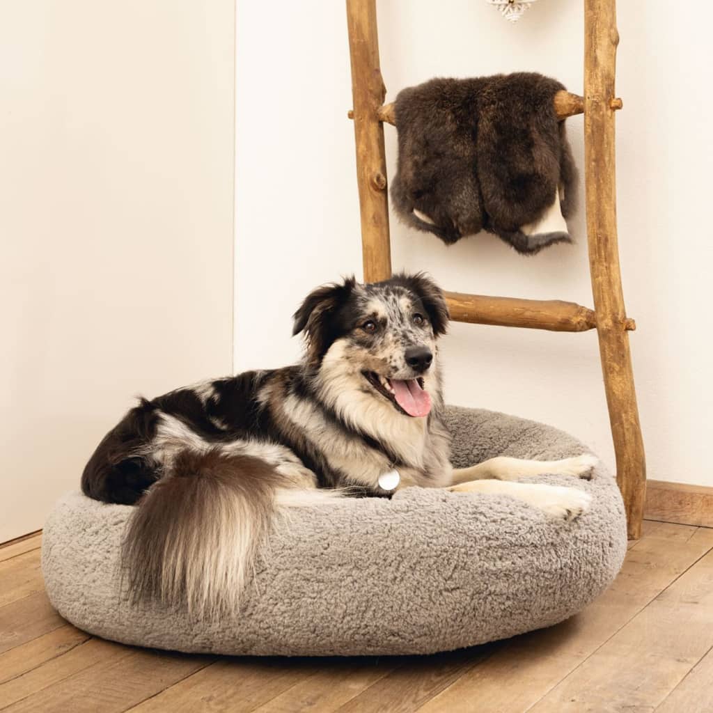 Beeztees Lit pour chien Jaxx mousse à mémoire de forme 50x20 cm beige