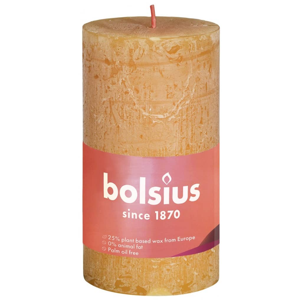 Bolsius Stompkaarsen Shine 4 st rustiek 130x68 mm