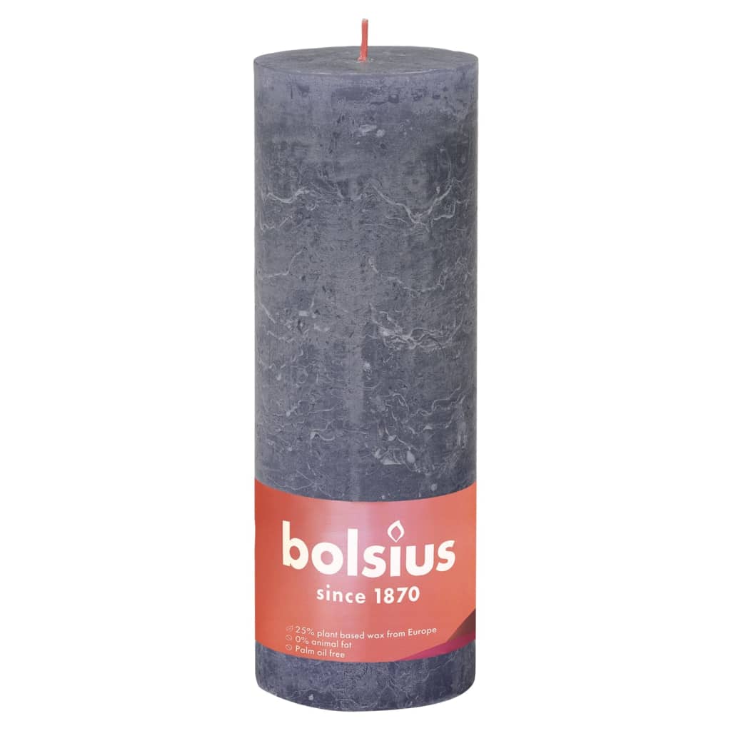 Bolsius Stompkaarsen Shine 4 st rustiek 130x68 mm