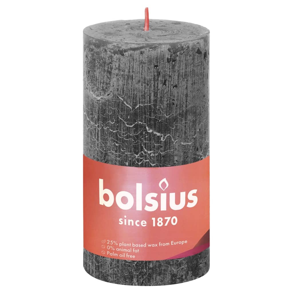 Bolsius Stompkaarsen Shine 4 st rustiek 130x68 mm