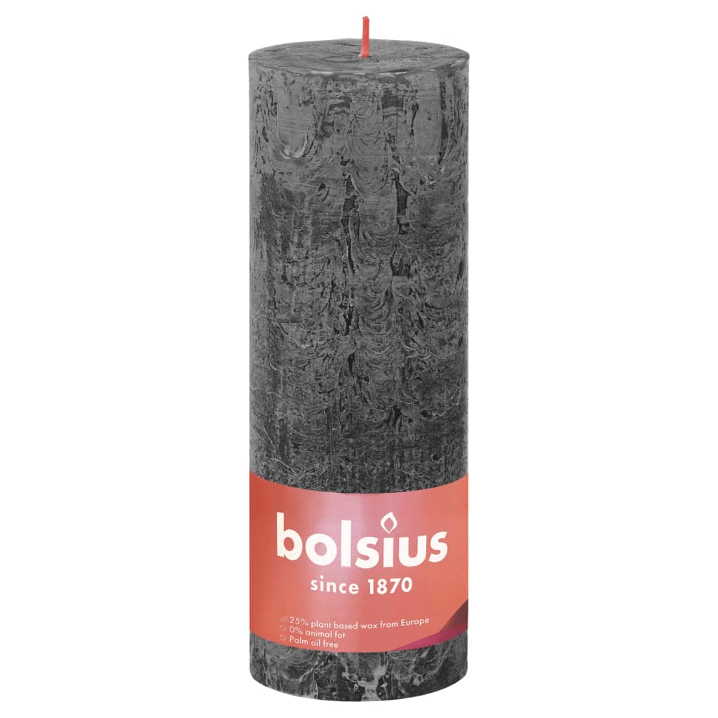 Bolsius Stompkaarsen Shine 4 st rustiek 130x68 mm