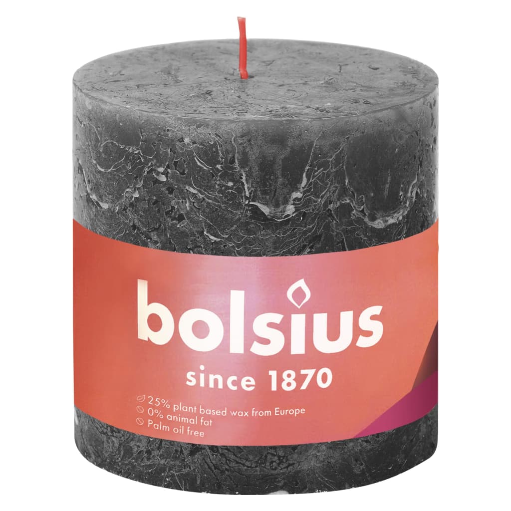 Bolsius Stompkaarsen Shine 4 st rustiek 130x68 mm