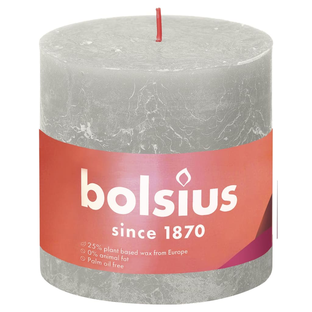 Bolsius Stompkaarsen Shine 4 st rustiek 130x68 mm