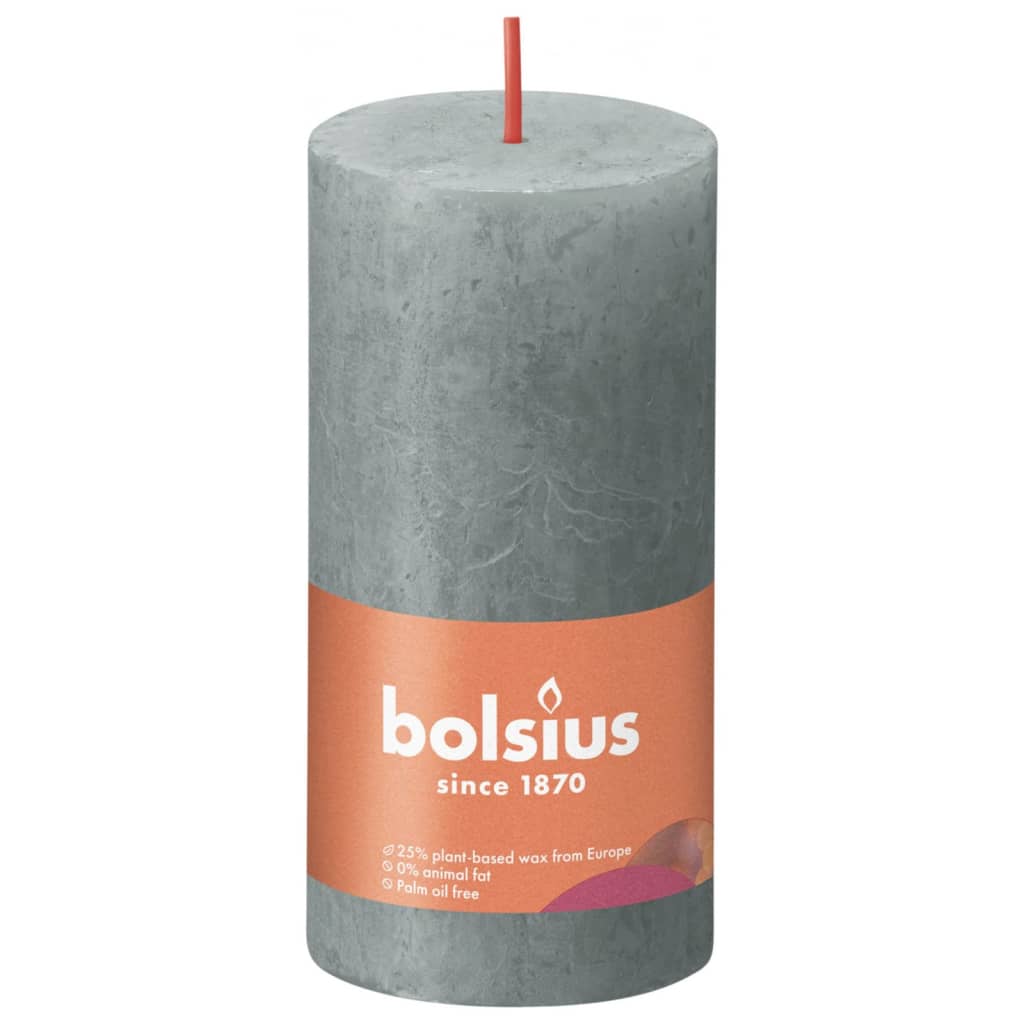 Bolsius Stompkaarsen Shine 4 st rustiek 130x68 mm