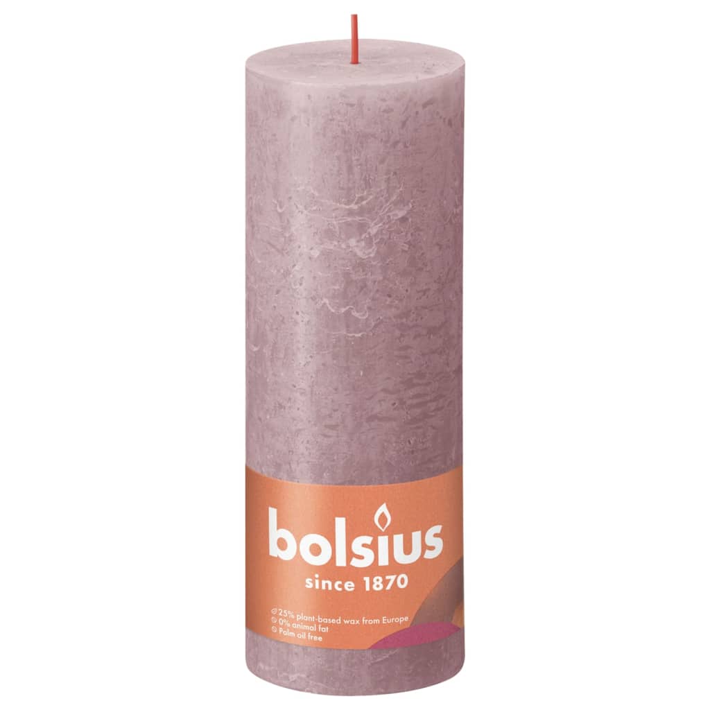 Bolsius Stompkaarsen Shine 4 st rustiek 130x68 mm