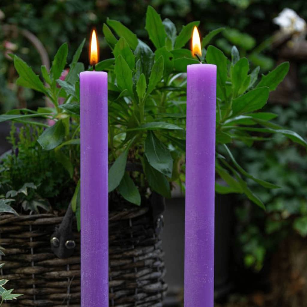 Bolsius Dinner Candles Shine 16 pcs rustique 27 cm violet vif