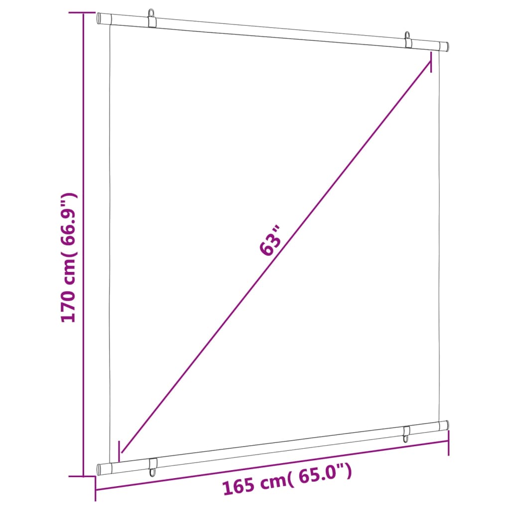 Écran de projection 1:1 81''