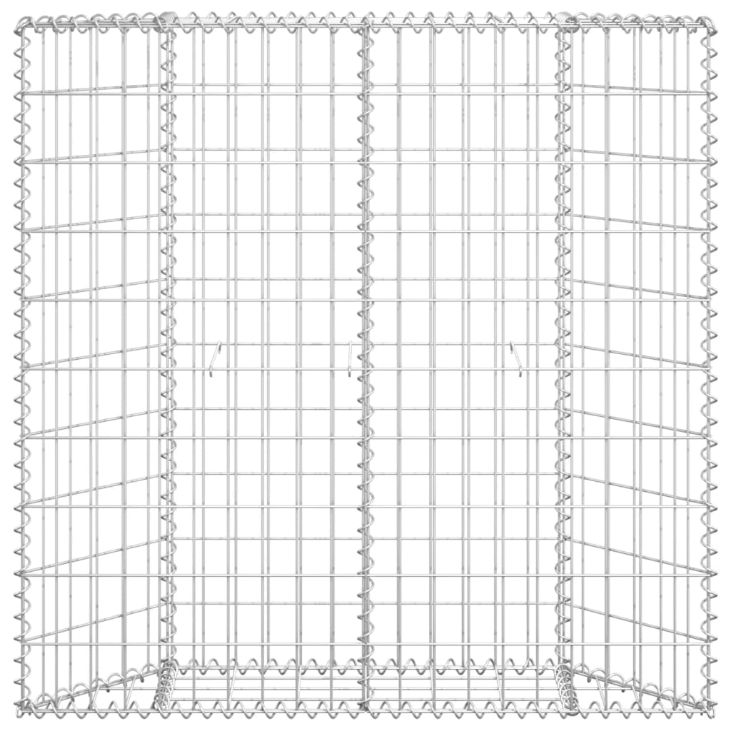 Gabion plantenbak trapezium 80x20x100 cm gegalvaniseerd staal