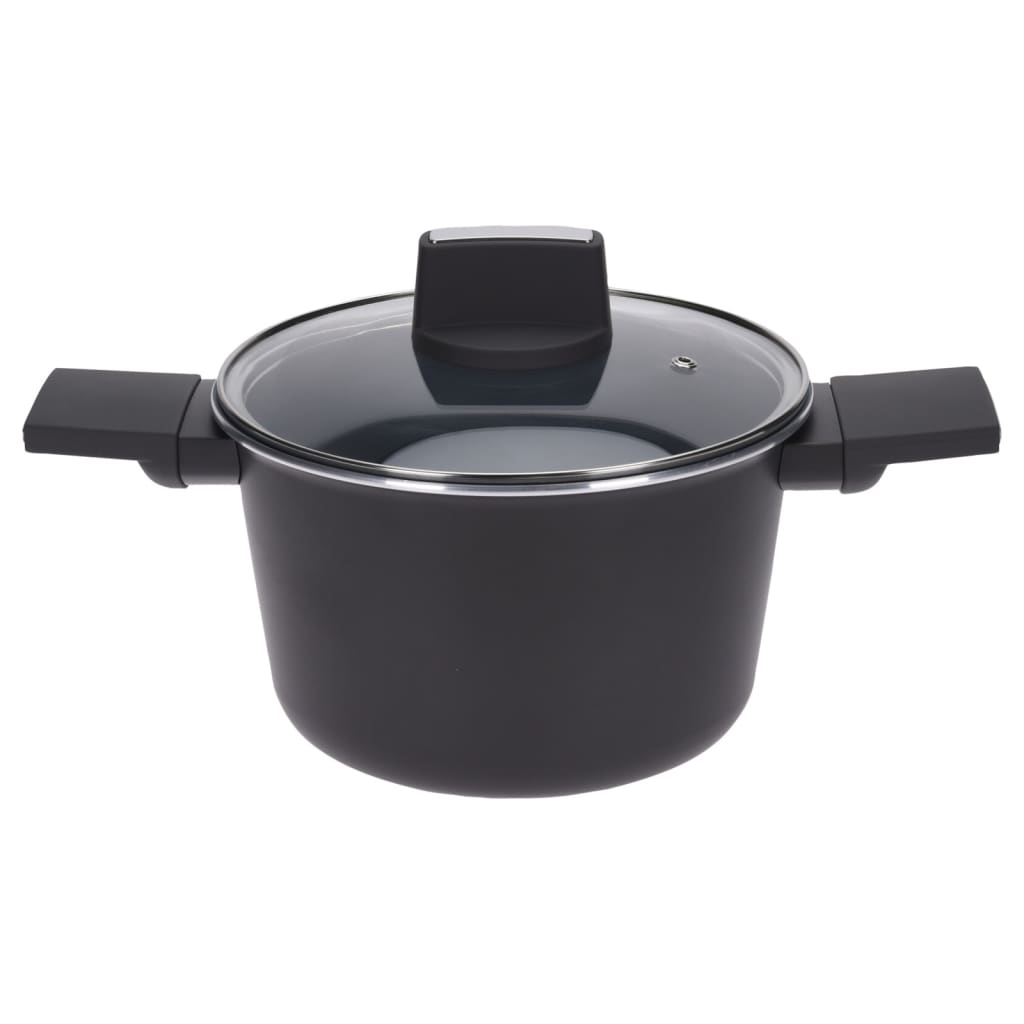 Excellent Houseware Braadpan met deksel 20 cm