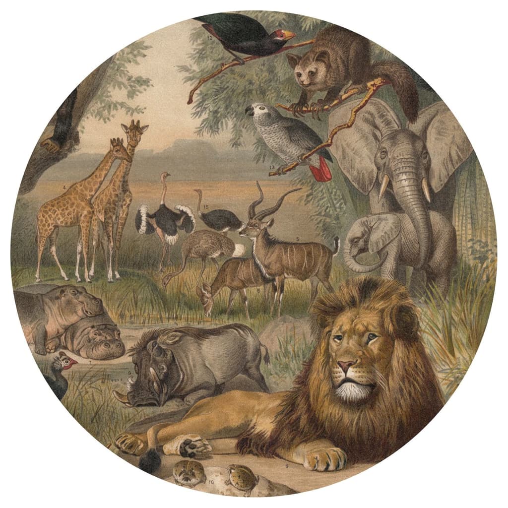 WallArt Behangcirkel Animals of Africa 142,5 cm