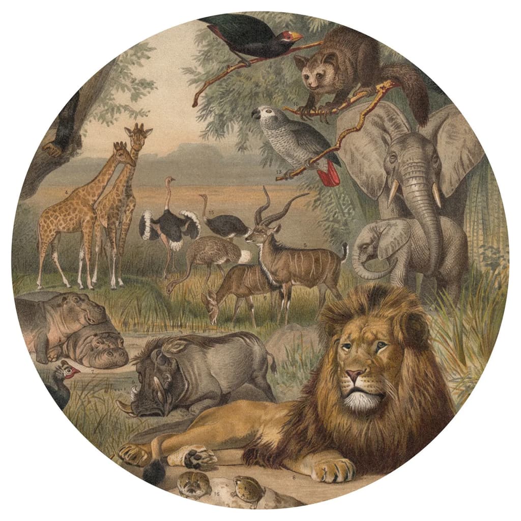 Papier peint WallArt Cercle Animaux d'Afrique 142,5 cm