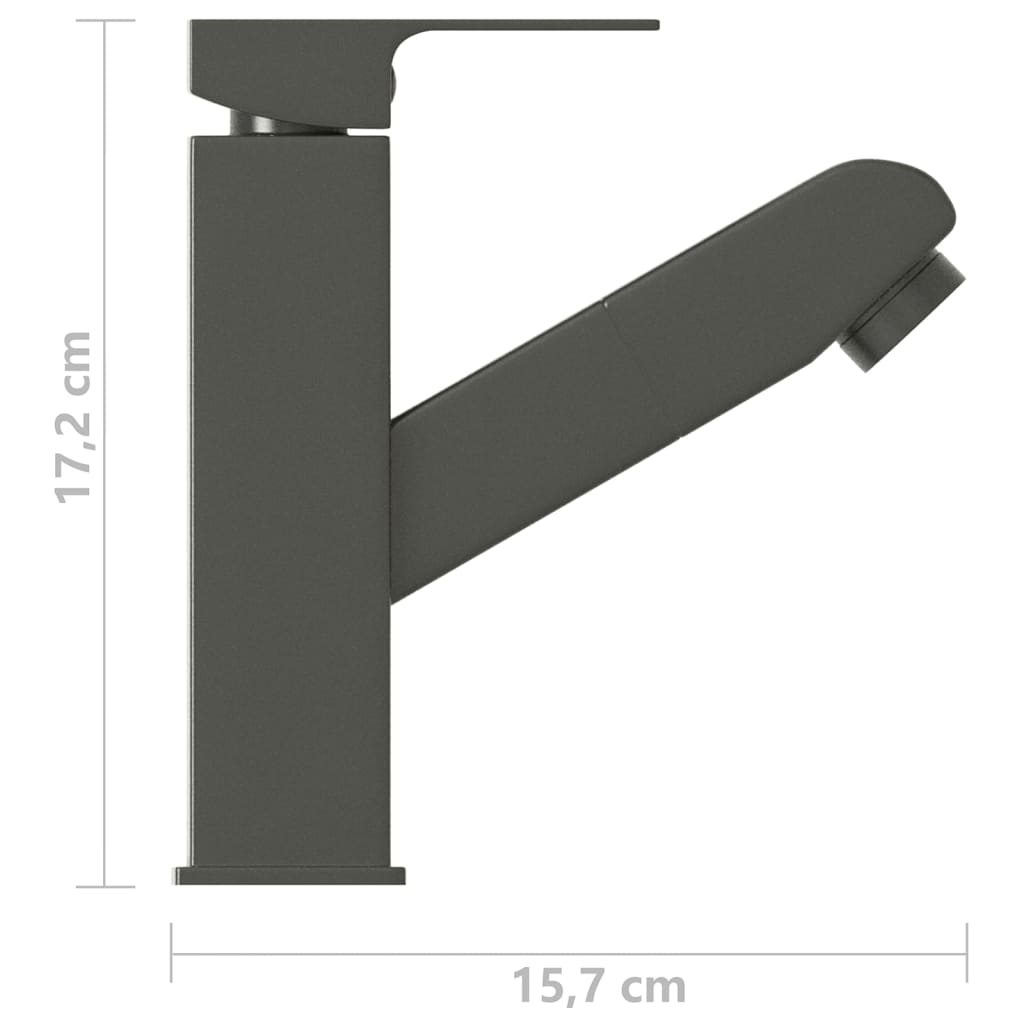 Wastafelkraan met uittrekfunctie 157x172 mm zilverkleurig