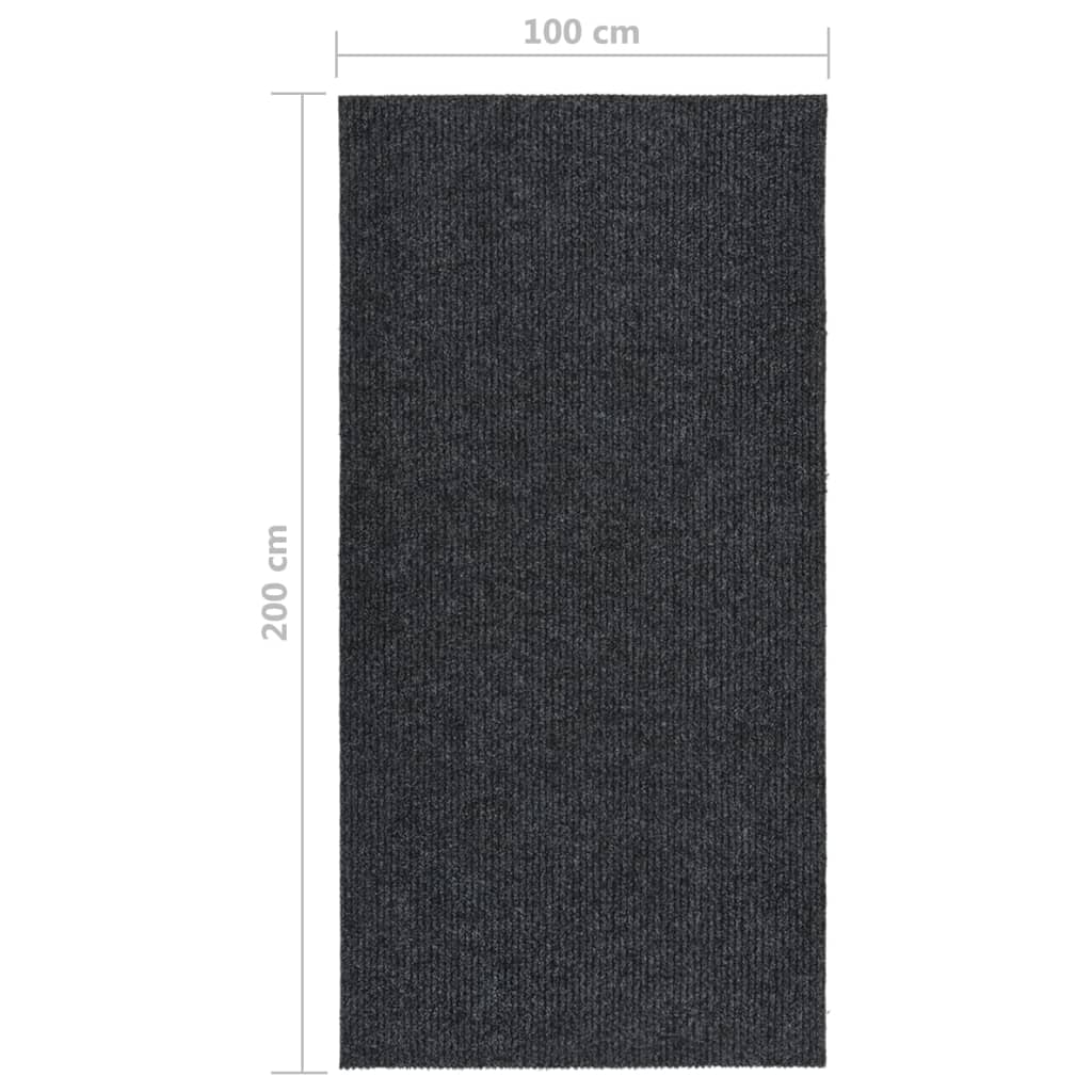 Tapis de course à sec 100x350 cm