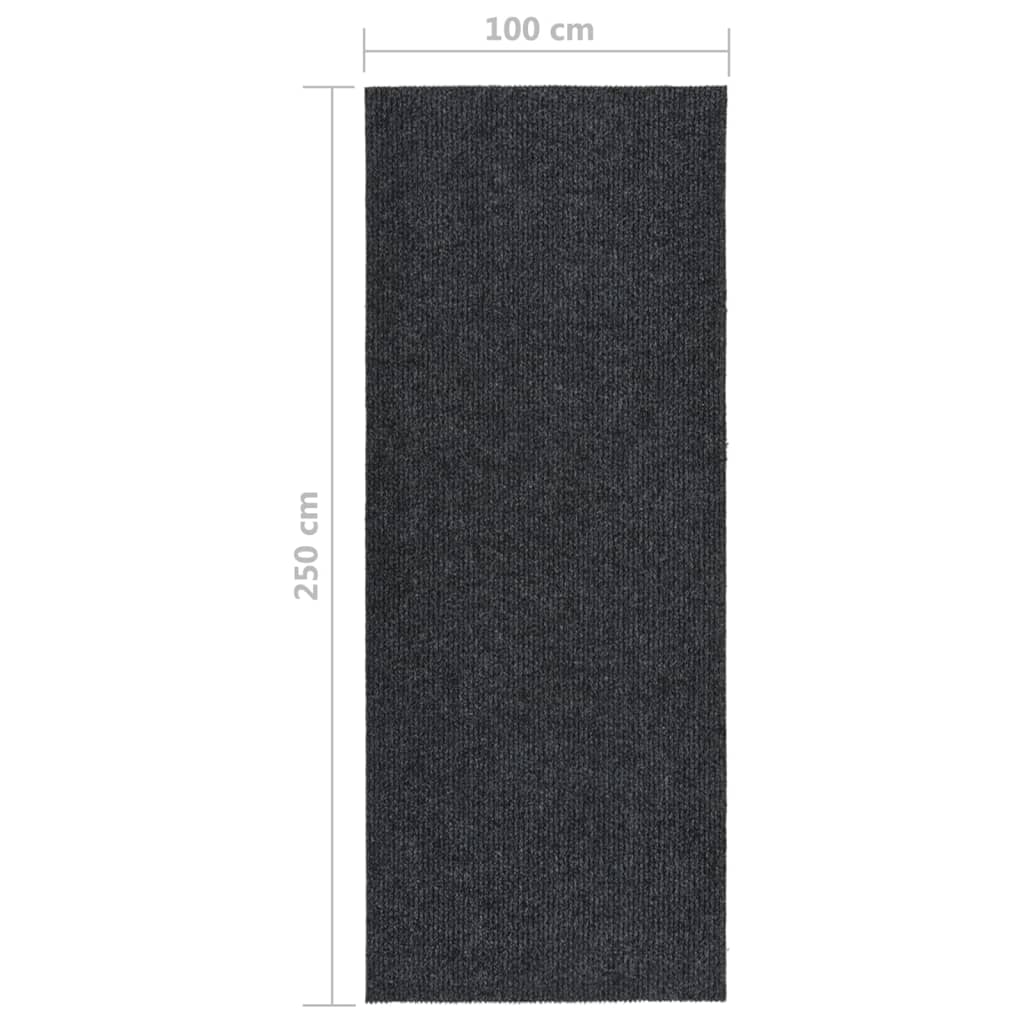 Tapis de course à sec 100x350 cm