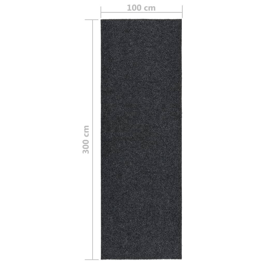 Tapis de course à sec 100x350 cm