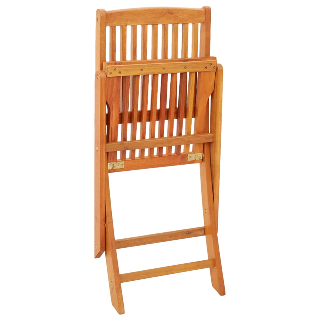 Tuinstoelen 2 st inklapbaar massief eucalyptushout