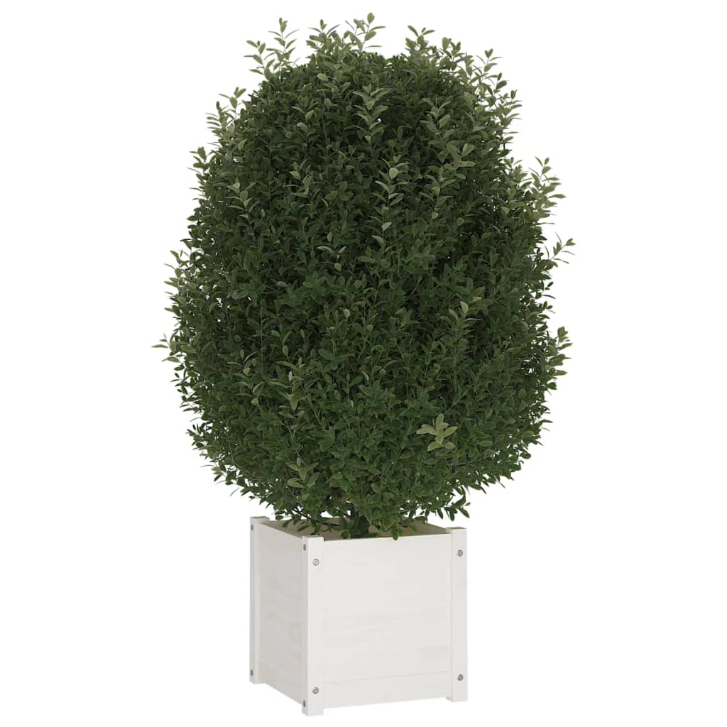 Plantenbakken 2 st 40x40x40 cm massief grenenhout