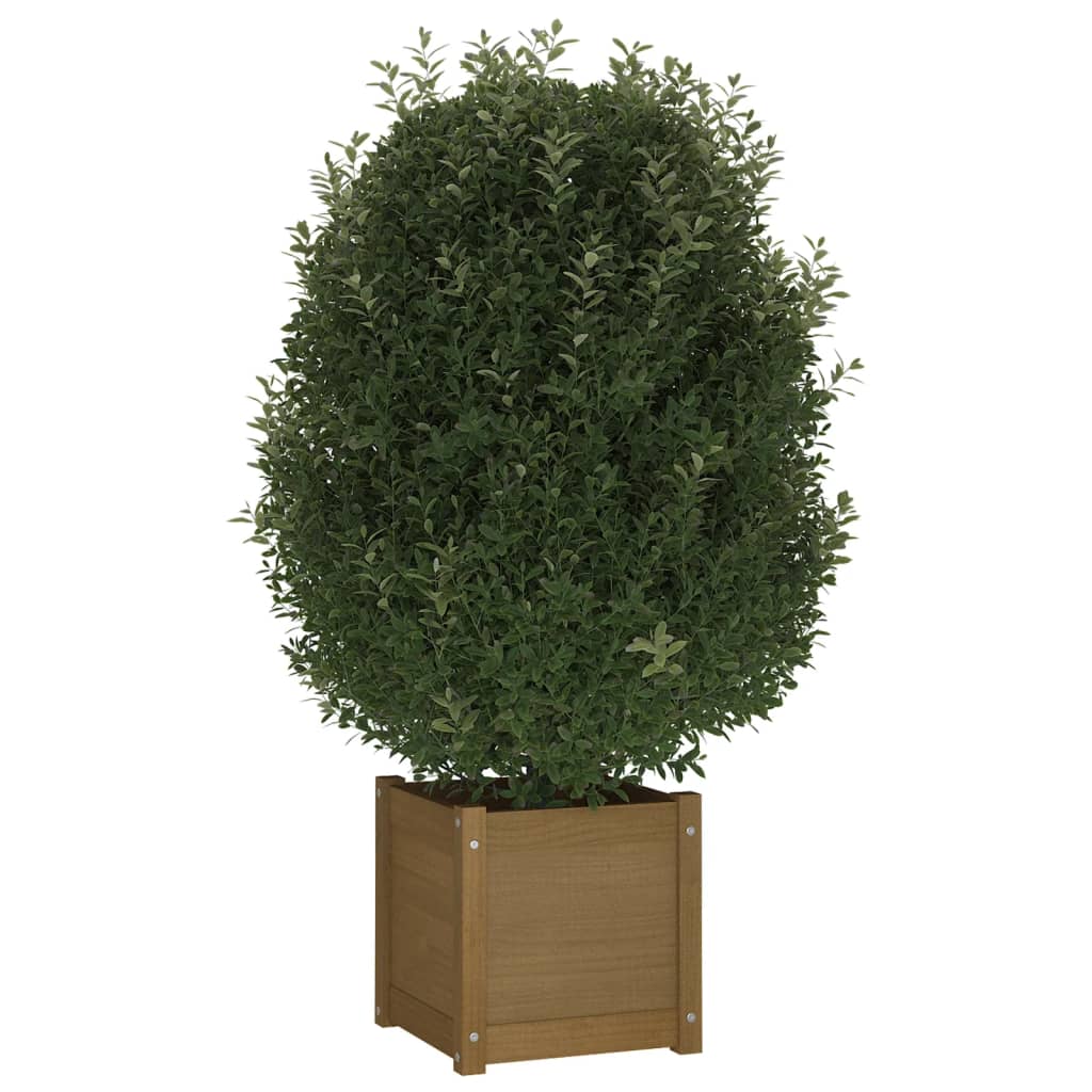 Plantenbak 40x40x40 cm massief grenenhout