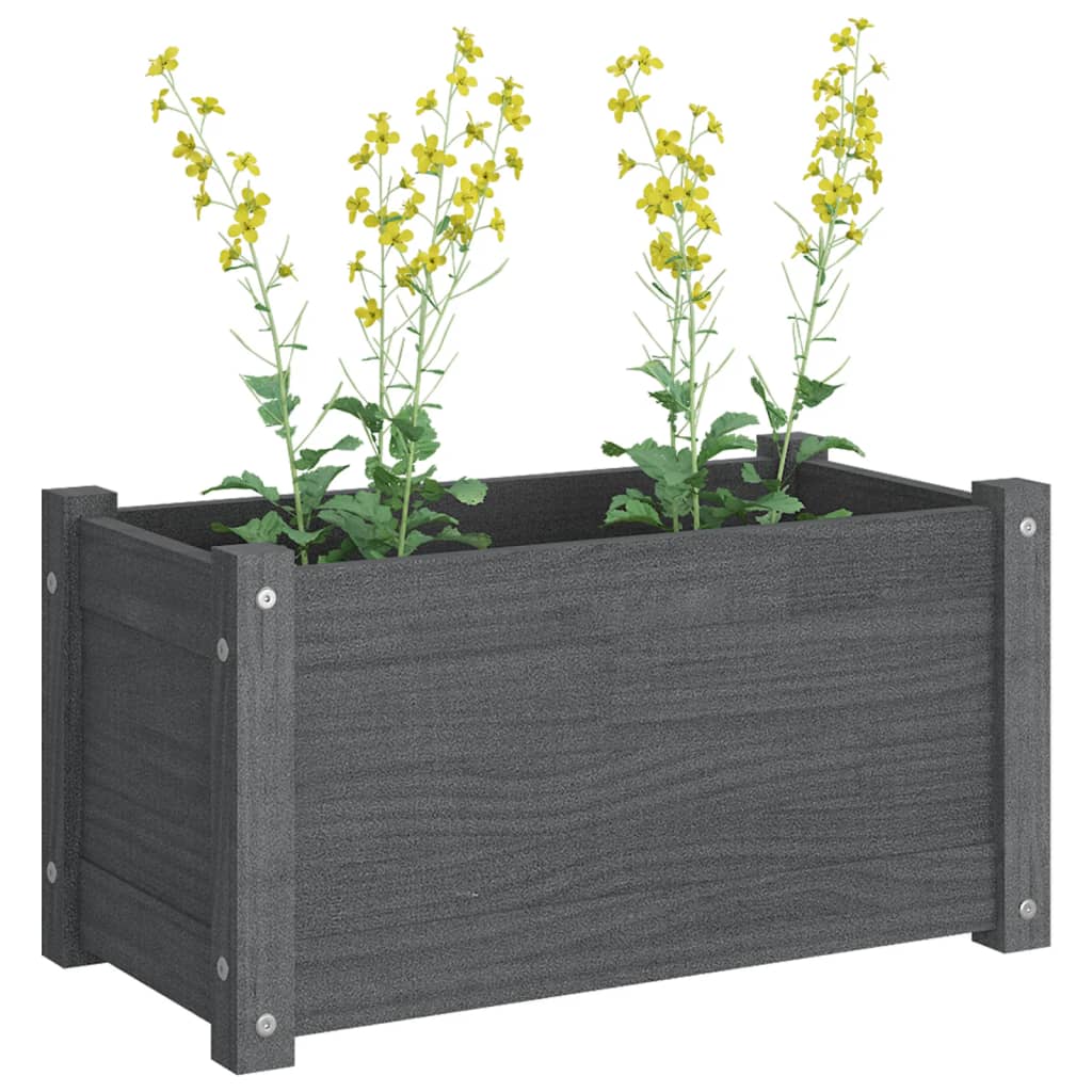 Plantenbakken 2 st 60x31x31 cm massief grenenhout