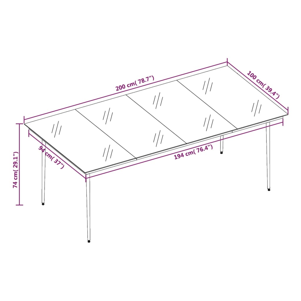 Table de jardin 200x100x74 cm acier et verre noir