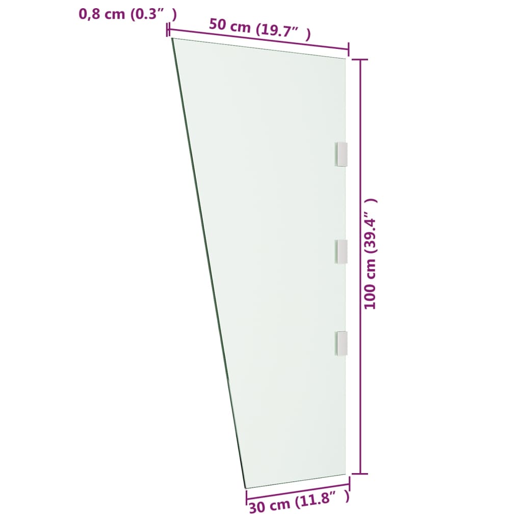 Panneau latéral pour auvent de porte 50x100 cm verre trempé