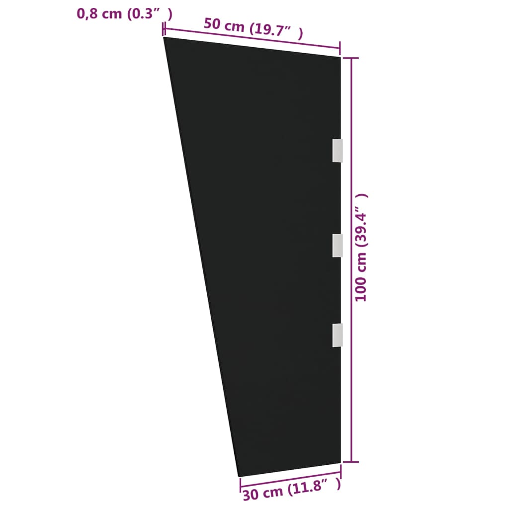 Panneau latéral pour auvent de porte 50x100 cm verre trempé