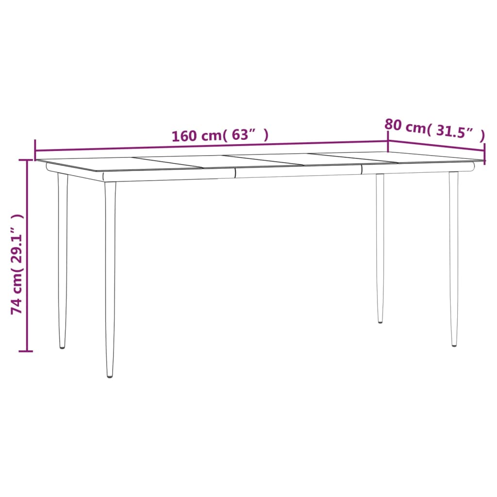 Table de jardin 200x100x74 cm acier et verre noir