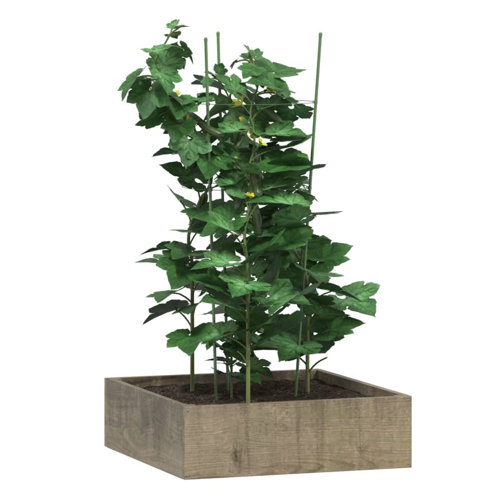 Supports pour plantes 5 pcs avec 4 anneaux 90 cm acier vert