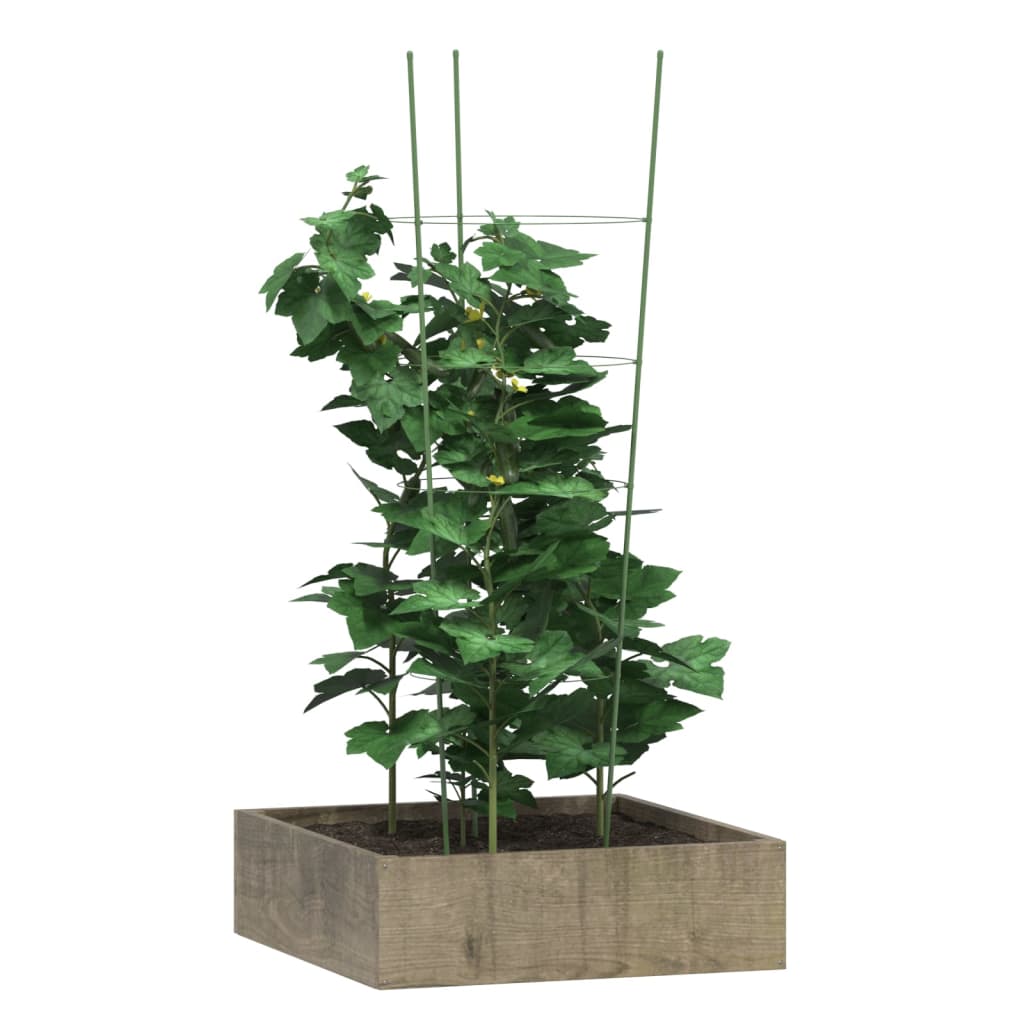 Supports pour plantes 5 pcs avec 4 anneaux 90 cm acier vert