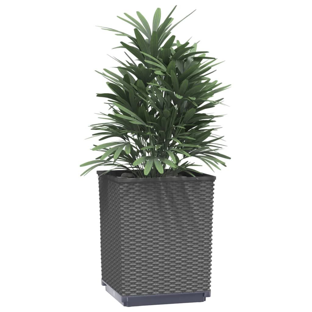 Plantenbakken 2 st 30x30x37 cm polypropeen