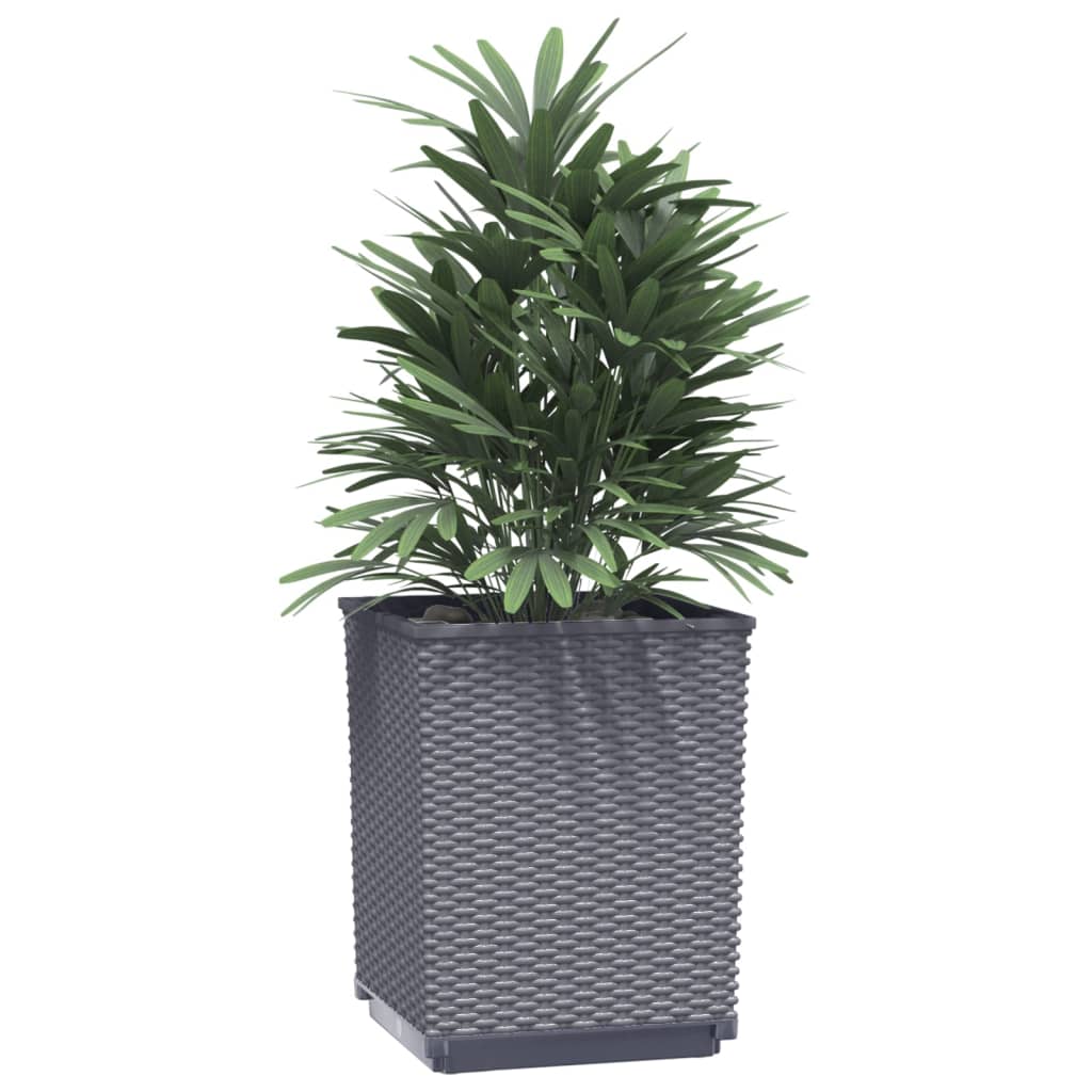 Plantenbakken 2 st 30x30x37 cm polypropeen