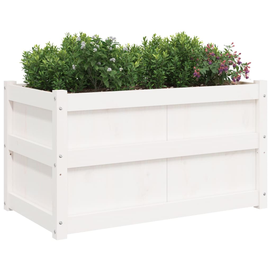 Jardinières 2 pcs cm solide