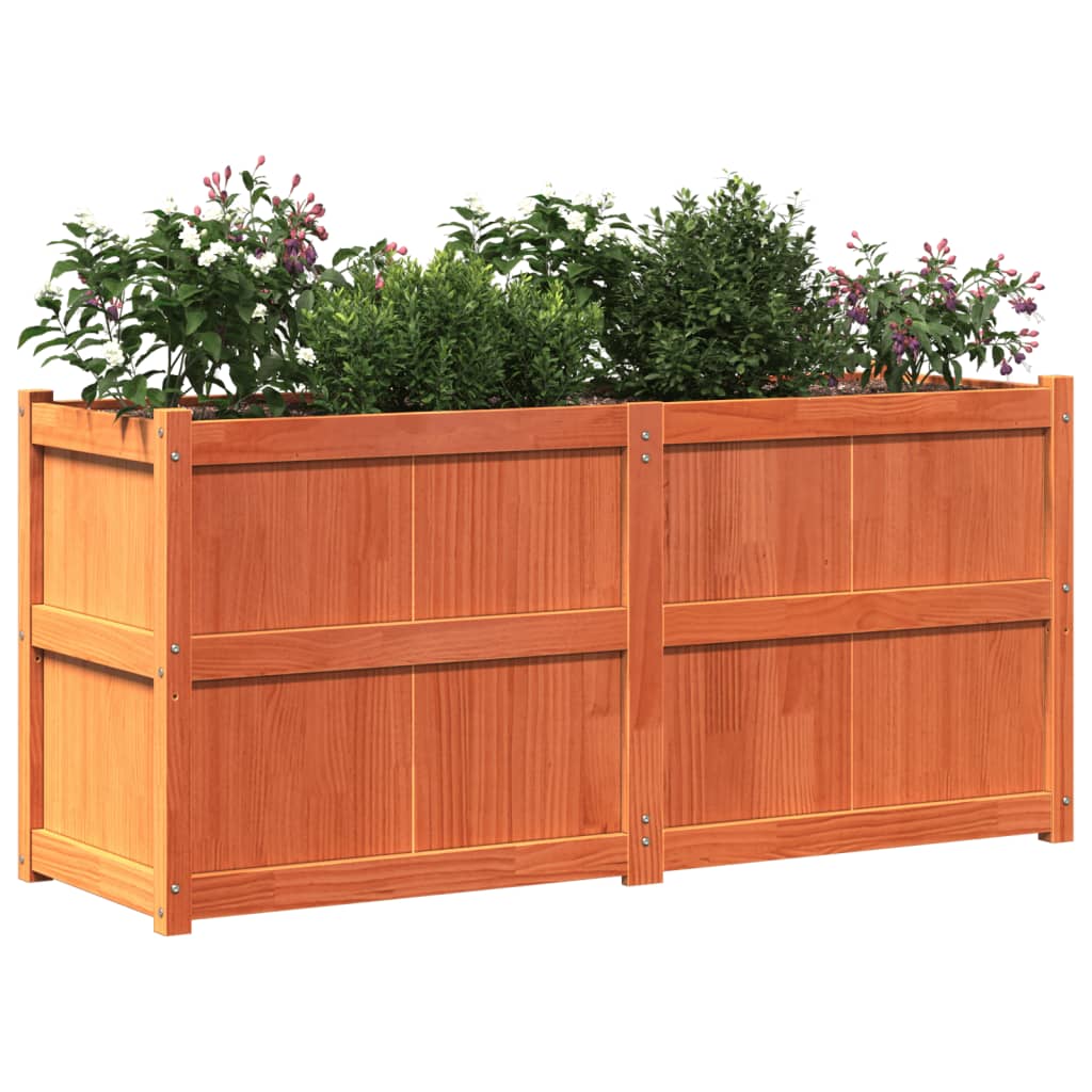 Plantenbak 150x50x70 cm massief