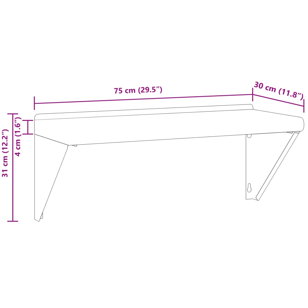 Wandschap 100x30x31 cm roestvrijstaal zilverkleurig