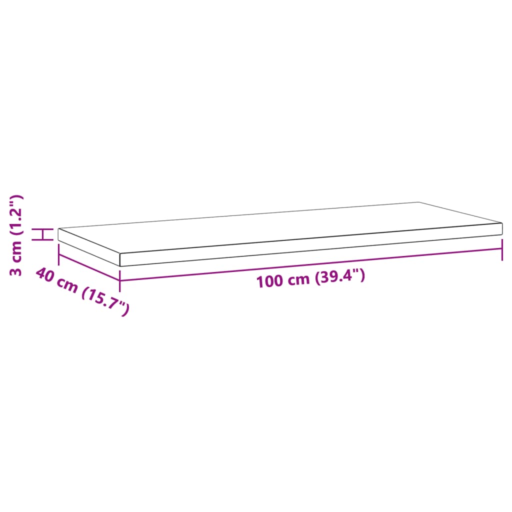 Wandschappen 2 st 100x23,5x3 cm roestvrijstaal zilverkleurig