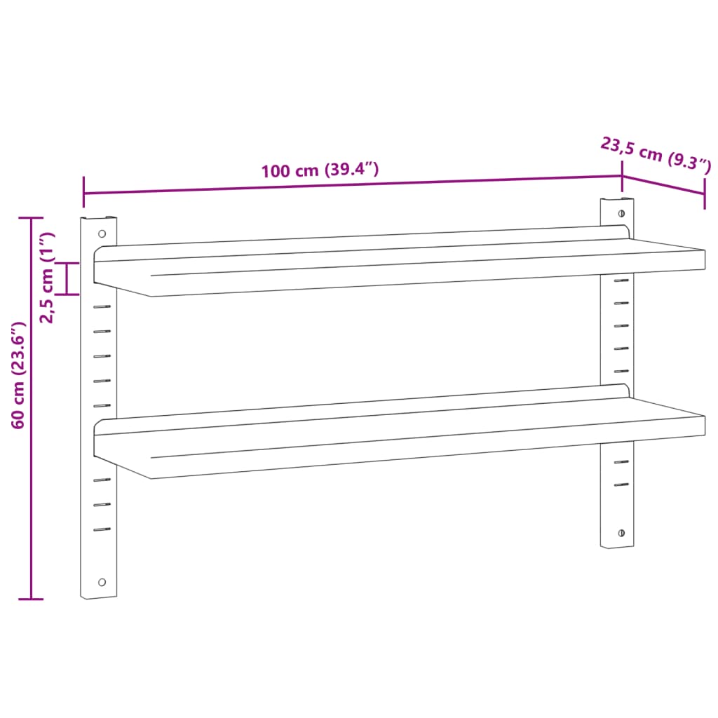 Wandschap 2-laags 100x40x60 cm roestvrijstaal zilverkleurig