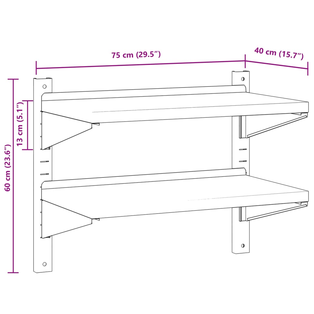 Wandschap 2-laags 100x40x60 cm roestvrijstaal zilverkleurig