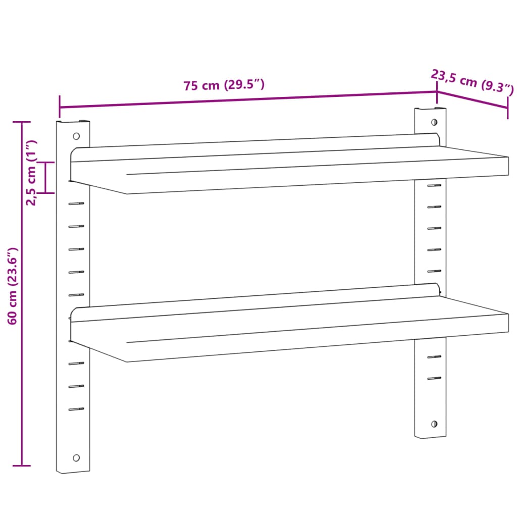 Wandschap 2-laags 100x40x60 cm roestvrijstaal zilverkleurig